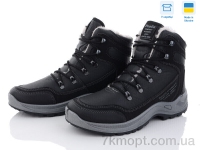 Купить Ботинки(зима)  Ботинки Paolla Paolla 361-6213