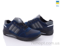 Купить Кроссовки  Кроссовки Paolla Pilot D631-4