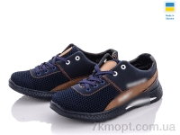 Купить Кроссовки  Кроссовки Paolla Sunshine D6-3P сине-коричневый