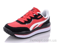 Купить Кроссовки Кроссовки Pet B038-6 Купить Кроссовки Кроссовки Pet B038-6