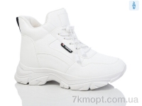 Купить Ботинки(зима) Ботинки Purlina HJ3834-2