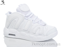 Купить Кроссовки Кроссовки Red Sun F195