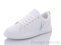 Купить Кроссовки Кроссовки SANLIN YX6-20 Купить Кроссовки Кроссовки SANLIN YX6-20