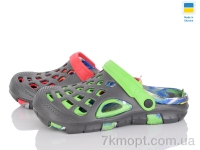 Купить Кроксы Кроксы SANLIN 2 B308 папуга mix Купить Кроксы Кроксы SANLIN 2 B308 папуга mix