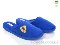 Купить Тапки Тапки SANLIN 2 SM1 синій