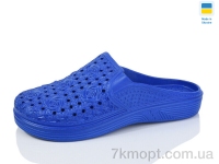 Купить Шлепки Шлепки SANLIN 2 SV027 синій