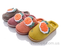 Купить Тапки Тапки SANLIN 2 WF2148 mix