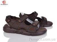 Купить Сандалии Сандалии SCARRHETT 7517