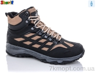 Купить Ботинки(весна-осень) Ботинки Sharif 8090-1