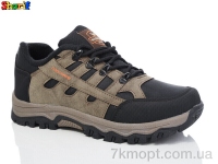 Купить Кроссовки Кроссовки Sharif M1630-3