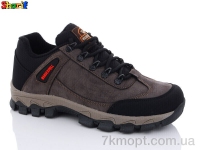 Купить Кроссовки Кроссовки Sharif PP201-4