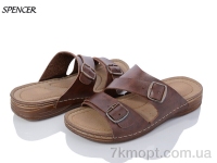 Купить Шлепки Шлепки Spencer 02 brown
