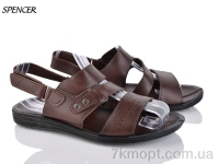 Купить Сандалии Сандалии Spencer 18649 Купить Сандалии Сандалии Spencer 18649