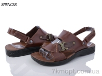 Купить Сандалии Сандалии Spencer 750 brown Купить Сандалии Сандалии Spencer 750 brown