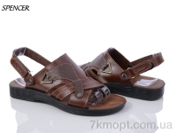 Купить Сандалии Сандалии Spencer 751 brown Купить Сандалии Сандалии Spencer 751 brown