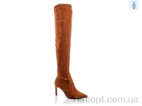 Купить Ботфорты Ботфорты Teetspace-Trasta-Egga LX2129-19