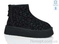 Купить Угги Угги Teetspace-Trasta-Egga WMP835-1