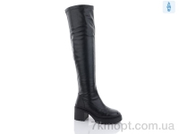 Купить Ботфорты Ботфорты Teetspace-Trasta-Egga XM381-1