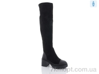 Купить Ботфорты Ботфорты Teetspace-Trasta-Egga XM381-2