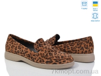 Купить Туфли Туфли V.Arimany 1447 к.ч. лео