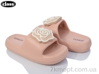 Купить Шлепки Шлепки Wei Wei-Class 2601-2