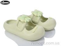 Купить Шлепки Шлепки Wei Wei-Class 9513-2