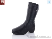 Купить Сапоги(зима) Сапоги WSMR 12001