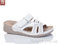 Купить Шлепки Шлепки WSMR A02-3