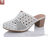 Купить Шлепки Шлепки WSMR A103-6