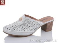 Купить Шлепки Шлепки WSMR A105-6