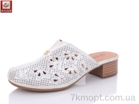 Купить Шлепки Шлепки WSMR A73-6