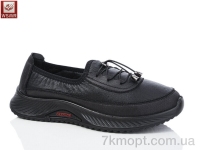 Купить Туфли Туфли WSMR LC06