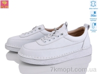 Купить Туфли Туфли PLPS 966-2 Купить Туфли Туфли PLPS 966-2